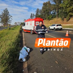 Identificada no IML de Maringá mulher que morreu após ser atropelada na BR-376 Foto 6 Fotos de Identificada no IML de Maringá mulher que morreu após ser atropelada na BR-376