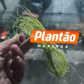 Fotos de Motociclista tem pescoço cortado por linha chilena em Sarandi