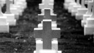 Fotos de Obituário: veja lista de falecimentos, em Maringá e região