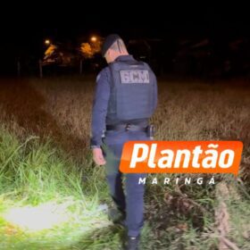 Fotos de Vídeo mostra caminhoneiro suspeito de sequestrar duas crianças fugindo da Guarda Civil Municipal de Sarandi