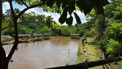 Fotos de Após mais de 30 anos, Pesqueiro São José vai encerrar atividades em Maringá