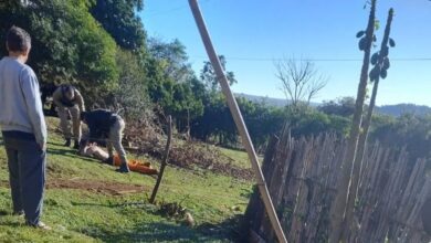Fotos de Detentos fogem da cadeia pública com viatura e armas no Paraná