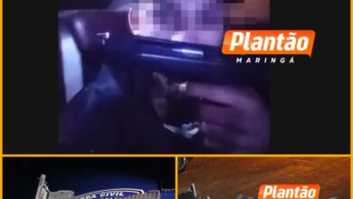 Fotos de GCM apreende arma de fogo e munições após ocorrência em lounge