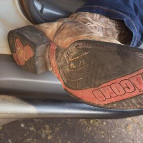 Fotos de Homem mata a namorada e vai para o bar tomar cerveja