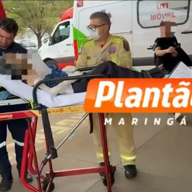 Idosa que teve braço devorado por um cachorro vira-lata em Maringá morre no hospital Foto 6 Fotos de Idosa que teve braço devorado por um cachorro vira-lata em Maringá morre no hospital