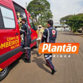 Idosa que teve braço devorado por um cachorro vira-lata em Maringá morre no hospital Foto 8 Fotos de Idosa que teve braço devorado por um cachorro vira-lata em Maringá morre no hospital