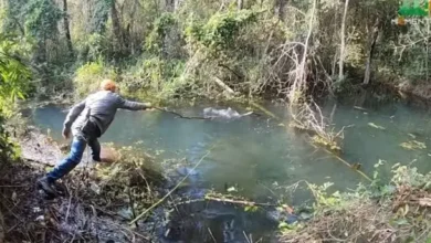 Fotos de Morador da região quase é surpreendido por onça durante pescaria