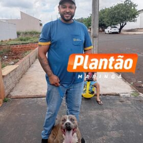 Fotos de Motorista é morto a tiros após provocar ex-amigo em Marialva - VEJA O FLAGRANTE 