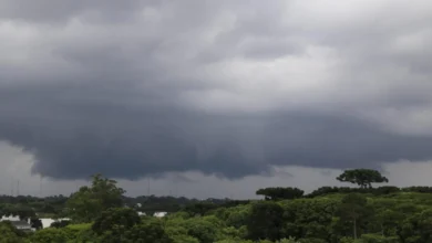 Fotos de Alerta de tempestade é ampliado para 299 cidades do Paraná; veja quais