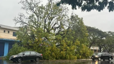 Fotos de Chuva e rajada de vento de 61,9 km/h causam transtornos em Maringá; árvore caiu sobre veículo