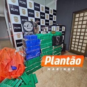 DENARC e PRE apreendem 582 kg de maconha em operação na região de Maringá Foto 3 Fotos de DENARC e PRE apreendem 582 kg de maconha em operação na região de Maringá