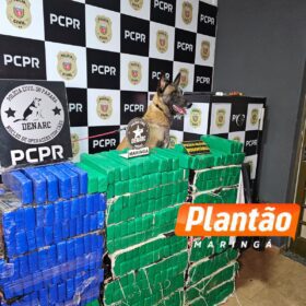 DENARC e PRE apreendem 582 kg de maconha em operação na região de Maringá Foto 2 Fotos de DENARC e PRE apreendem 582 kg de maconha em operação na região de Maringá