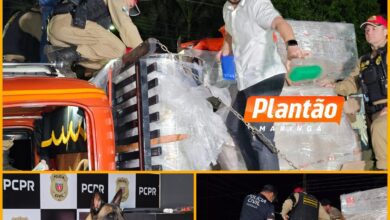 Fotos de DENARC e PRE apreendem 582 kg de maconha em operação na região de Maringá
