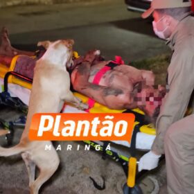 Homem é esfaqueado em Sarandi e fica em estado grave Foto 11 Fotos de Homem é esfaqueado em Sarandi e fica em estado grave