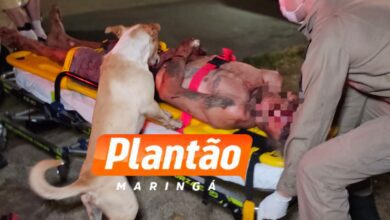 Fotos de Homem é esfaqueado em Sarandi e fica em estado grave