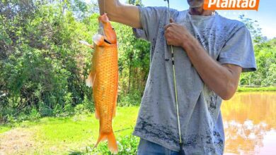 Fotos de Homem mata ex-cunhado em briga pela guarda do filho em Sarandi