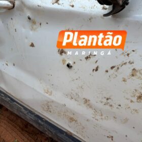 Icaraíma: Marcas de tiros em veículo indicam que cobradores foram surpreendidos de frente Foto 9 Fotos de Icaraíma: Marcas de tiros em veículo indicam que cobradores foram surpreendidos de frente