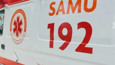 Fotos de Jovem é atacada pelo próprio pit bull no Paraná