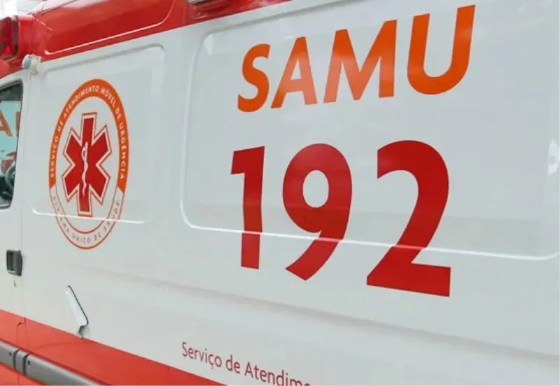 Jovem é atacada pelo próprio pit bull no Paraná Foto 1 Fotos de Jovem é atacada pelo próprio pit bull no Paraná