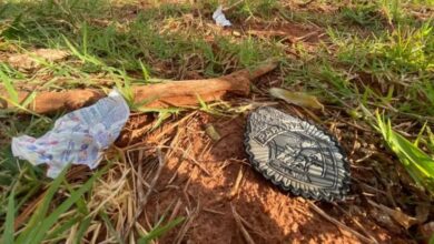 Fotos de Marcas de tiros indicam que desaparecidos foram mortos na chegada à propriedade da dívida