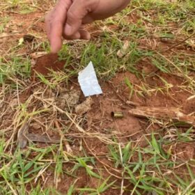 Marcas de tiros indicam que desaparecidos foram mortos na chegada à propriedade da dívida Foto 1 Fotos de Marcas de tiros indicam que desaparecidos foram mortos na chegada à propriedade da dívida