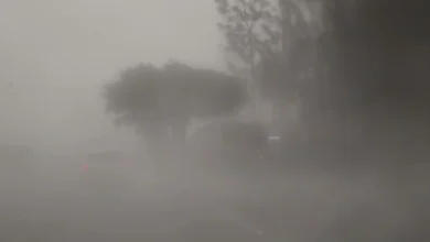 Fotos de Maringá e mais 360 cidades do Paraná entram em alerta de tempestade; veja a lista completa