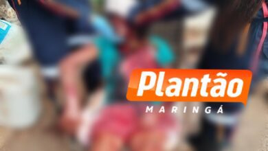 Fotos de Mulher sofre traumatismo craniano após agressão; companheiro é detido