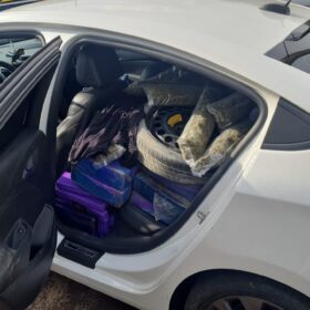 Perseguição termina com casal preso e quase 500 kg de maconha apreendidos em Maringá; vídeo Foto 2 Fotos de Perseguição termina com casal preso e quase 500 kg de maconha apreendidos em Maringá; vídeo