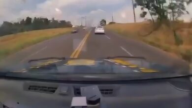 Fotos de Perseguição termina com casal preso e quase 500 kg de maconha apreendidos em Maringá; vídeo