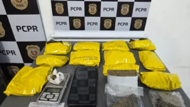 Fotos de Polícia Civil deflagra operação contra associação criminosa em Maringá