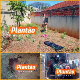 Suspeita de agressão: homem é encontrado inconsciente com traumatismo craniano em terreno baldio de Maringá Foto 9 Fotos de Suspeita de agressão: homem é encontrado inconsciente com traumatismo craniano em terreno baldio de Maringá