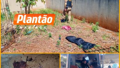 Fotos de Suspeita de agressão: homem é encontrado inconsciente com traumatismo craniano em terreno baldio de Maringá