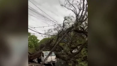 Fotos de Temporais deixam mais de 400 mil imóveis sem luz no Paraná; falta de energia também afeta Maringá