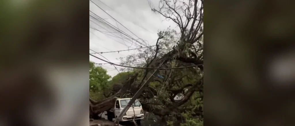 Temporais deixam mais de 400 mil imóveis sem luz no Paraná; falta de energia também afeta Maringá Foto 1 Fotos de Temporais deixam mais de 400 mil imóveis sem luz no Paraná; falta de energia também afeta Maringá
