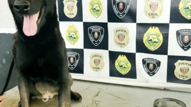 Fotos de Trio é preso com pistola 9mm e cocaína após denúncia na Zona 7, em Maringá