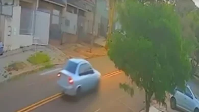 Fotos de Vídeo: Câmera flagra atropelamento de cachorro em Maringá; motorista fugiu sem prestar socorro