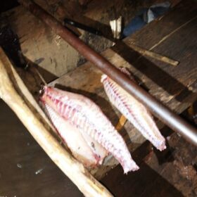 Fotos de Polícia Ambiental prende dois homens por pesca irregular no Rio Ivaí