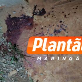 Suspeita de agressão: homem é encontrado inconsciente com traumatismo craniano em terreno baldio de Maringá Foto 5 Fotos de Suspeita de agressão: homem é encontrado inconsciente com traumatismo craniano em terreno baldio de Maringá