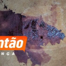 Suspeita de agressão: homem é encontrado inconsciente com traumatismo craniano em terreno baldio de Maringá Foto 4 Fotos de Suspeita de agressão: homem é encontrado inconsciente com traumatismo craniano em terreno baldio de Maringá