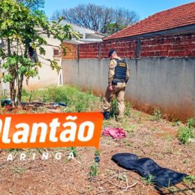Fotos de Morre jovem encontrado com traumatismo craniano vítima de agressão, em Maringá