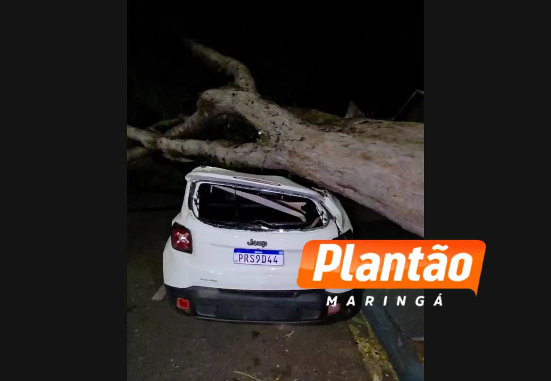 Fotos de Árvore cai sobre carro durante temporal em Maringá; ninguém ficou ferido