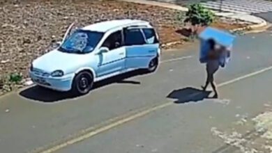 Fotos de Câmera flagra mulher tentando levar casinha de cachorro na região de Maringá