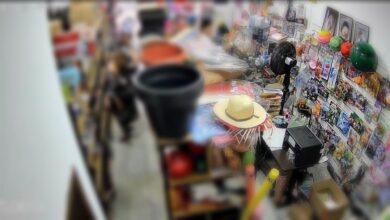Fotos de Câmeras flagraram furto em loja de Maringá; mulheres usam criança para disfarçar crime