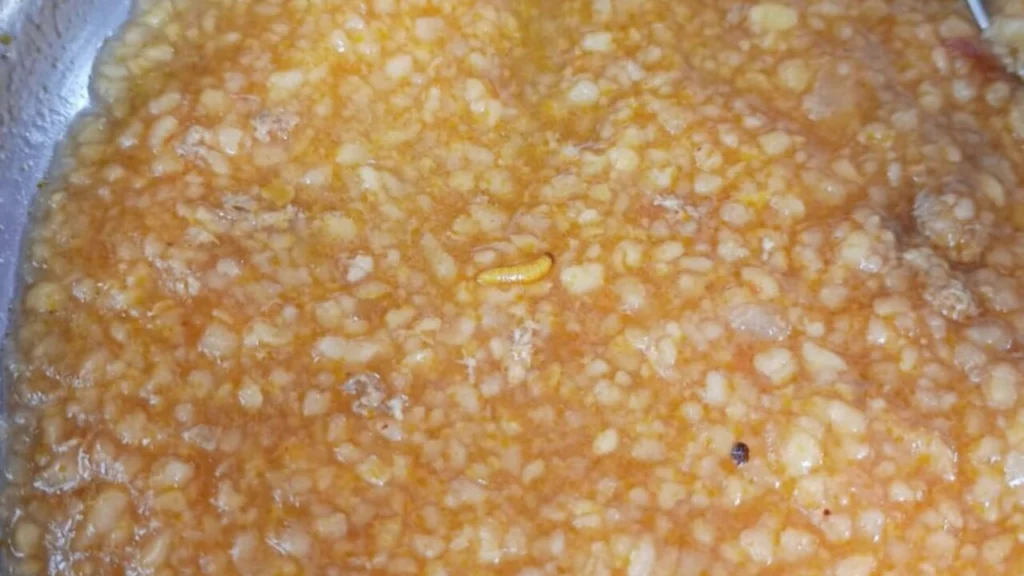 Estudante encontra larva na merenda de colégio estadual em Maringá Foto 1 Fotos de Estudante encontra larva na merenda de colégio estadual em Maringá