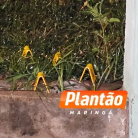 Fotos de Homem é executado com 12 tiros na frente da filha em Mandaguaçu