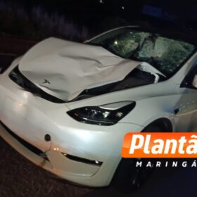 Homem morre atropelado por Tesla após ser visto em surto psicótico na rodovia BR-376 Foto 3 Fotos de Homem morre atropelado por Tesla após ser visto em surto psicótico na rodovia BR-376