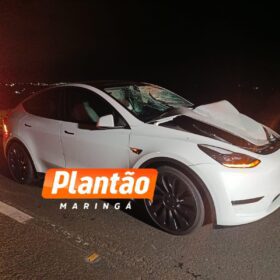 Homem morre atropelado por Tesla após ser visto em surto psicótico na rodovia BR-376 Foto 4 Fotos de Homem morre atropelado por Tesla após ser visto em surto psicótico na rodovia BR-376