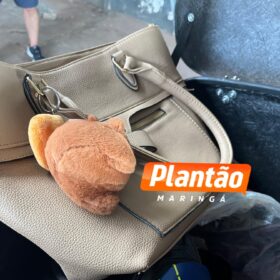 Fotos de Mãe e filha são presas com mais de 340 kg de maconha durante Blitz em Maringá