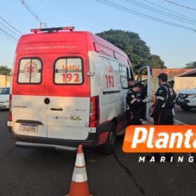 Menina de 14 anos fica ferida após bater em árvore com bicicleta em Maringá Foto 6 Fotos de Menina de 14 anos fica ferida após bater em árvore com bicicleta em Maringá