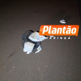 Motociclista fica em estado gravíssimo após colisão na PR-317, em Maringá Foto 4 Fotos de Motociclista fica em estado gravíssimo após colisão na PR-317, em Maringá